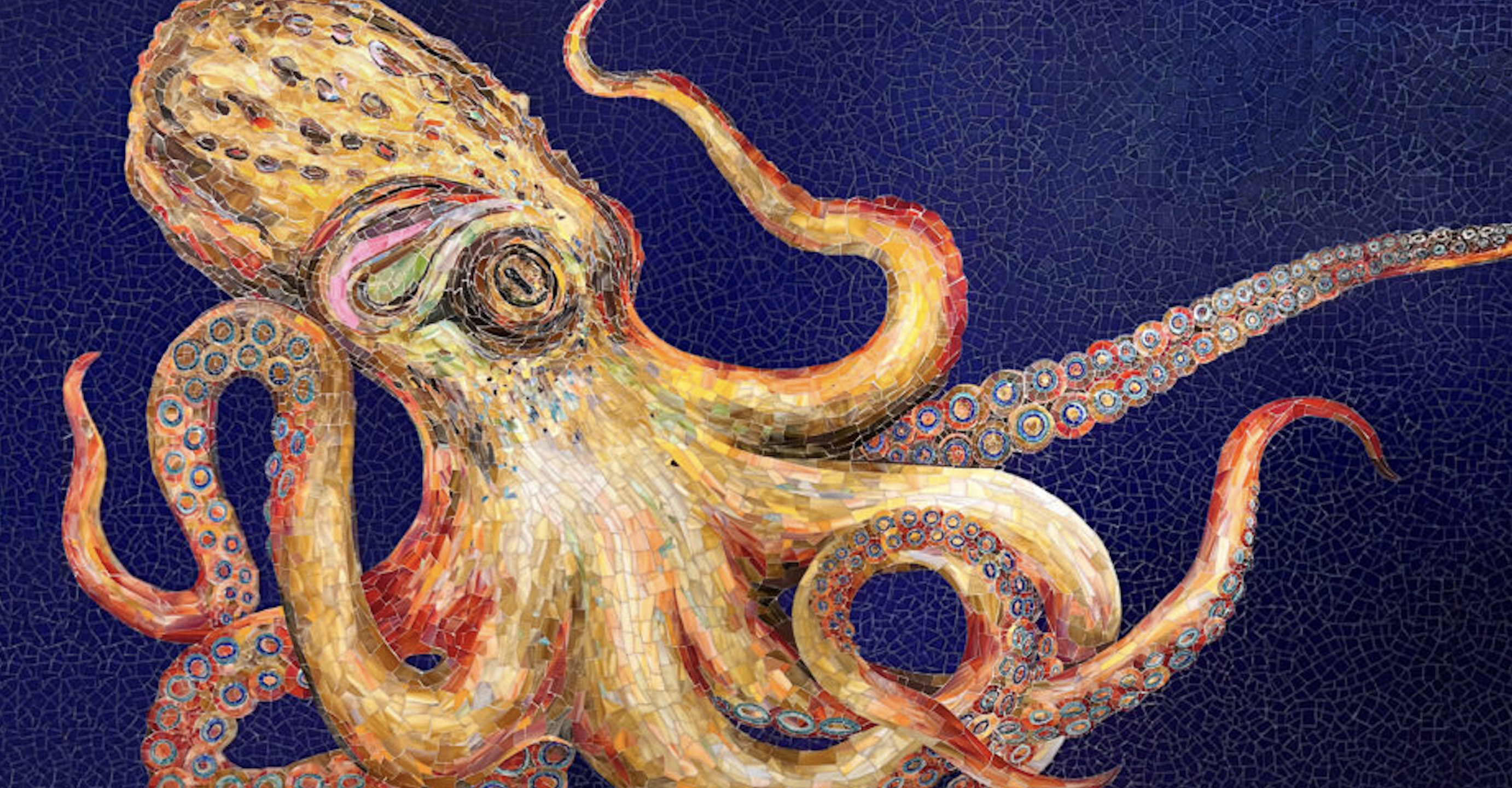 The Intriguing Octopus, Otto